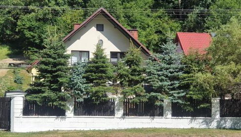 Pensionat Chata Lisiczka - Foto 2