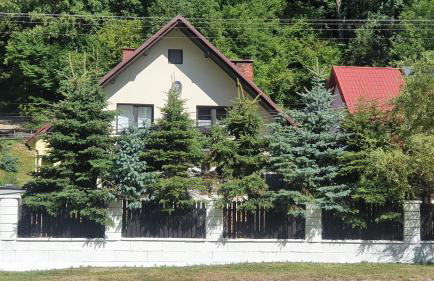 Pensionat Chata Lisiczka - Foto 2