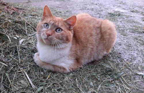 Joshof Bergblick - Photo 32