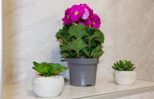 Luxury Apartment Petra - Photo 2