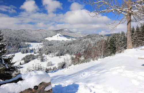 Galeriewohnung in Menzenschwand - Foto 8