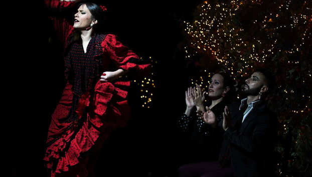 Espectáculo flamenco en Torres Bermejas - Foto 4, Disfrutando del espectáculo