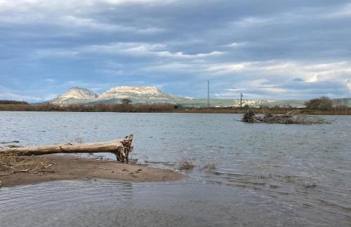 Mas Pinell 3 -Viu bé - Foto 42