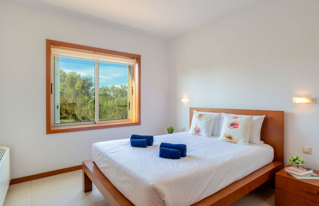 Almond Tree - Foto 18