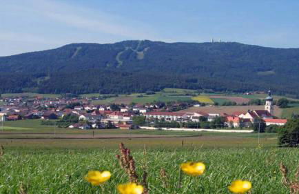 Gasthof Zum Wirt Ferienwohnung Hohenbogenblick - Foto 51