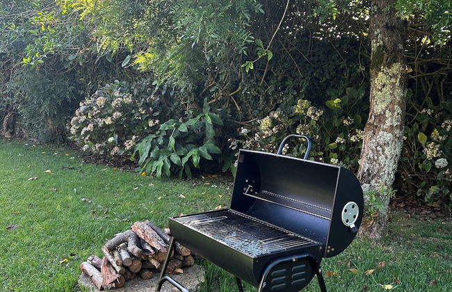 Quinta da Nasce Água - Photo 52