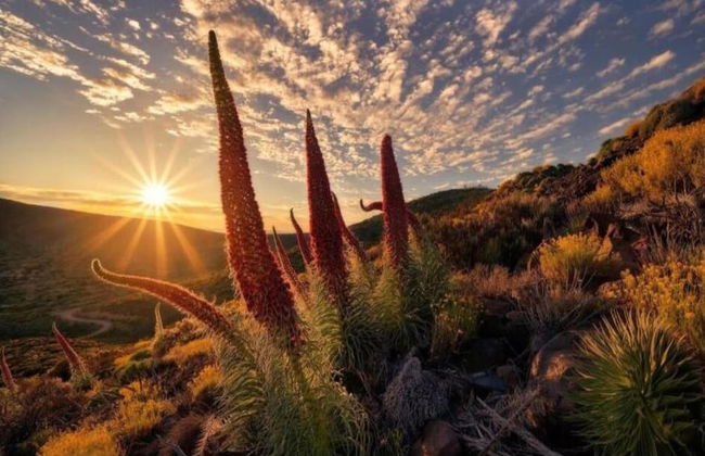 Apartment Tenerife Near Sea & Pool - Foto 24