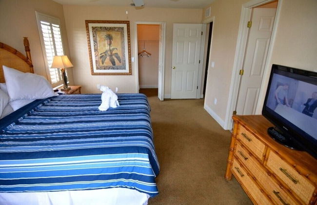 3500cal Stunning Town Home In Regal Plams - Photo 7