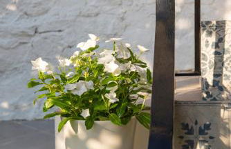 Casa Bella - Sleeps 8 with Pool - Foto 17