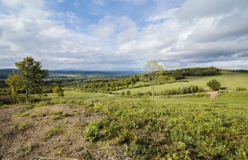 Agroturystyka Pawlikówka - Foto 66