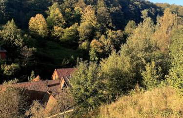 Ferienwohnung am Hang mit malerischer Aussicht - Foto 12