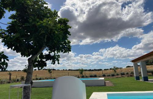 Monte do Pombal - Foto 61