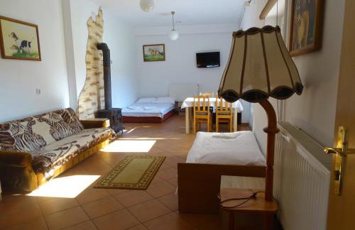 Mimoza Gospodarstwo Agroturystyczne - Foto 12