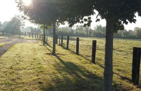 Le Gite de l'Etrier - Foto 9