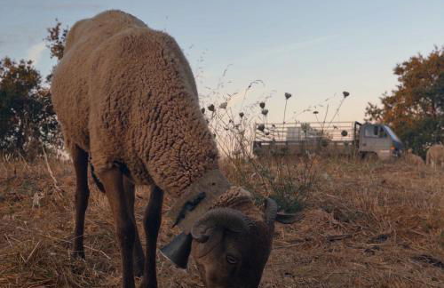 Matias Nature - Mountain Lodges in Serra da Estrela, Seia - Foto 18