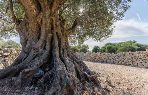 Apartment Luna - Photo 14