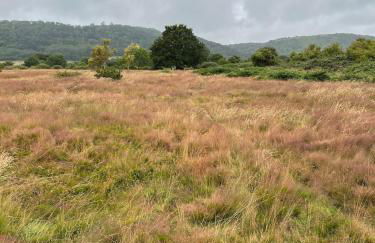 The Bakehouse - Foto 24