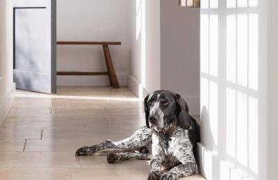 Luxury converted thatched barn near Chichester - Foto 16