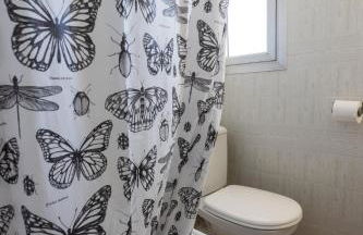 Circ Romà - Foto 39