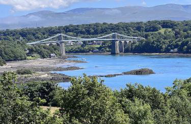 Sparkling Space - Twin or King Beds - Photo 11