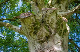 The Garden House, Necarne, Irvinestown - Foto 22