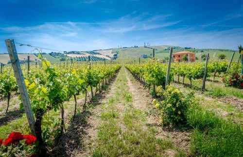 Agriturismo Agrimare Barba - Foto 13