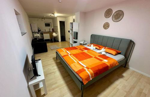 Central 30 sqm apt Obertürkheim - Foto 17