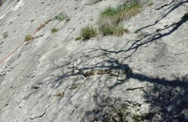 Apartman Milanko - Foto 51