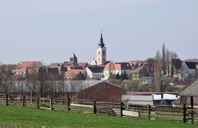 Natural Chalet Konopka Iza - Foto 9