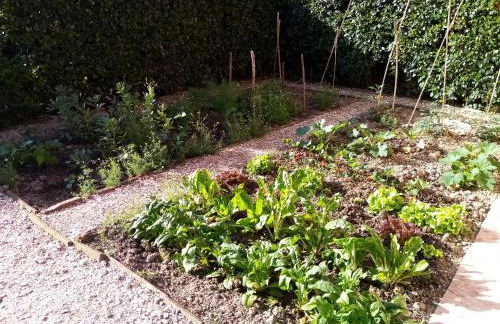 B&B Marana 14 Casa di Campagna - Foto 51