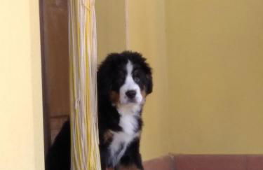 La casa di Cleo - Foto 20