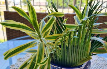 2 qrts c suíte, ar condicionado, piscina infantil e adulto, parquinho, estacionamento privativo, portaria 24hrs, self checkin, indicado pra família c crianças, casais e hóspedes a trabalho - Foto 19