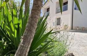 Manfredomus - Foto 109