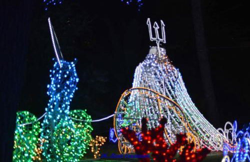 Gaia Pia Home - Foto 7