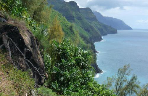 Kiahuna Plantation 96, Poipu Beach, Club Membership, Part Ocean View, Kids Toys - Foto 38