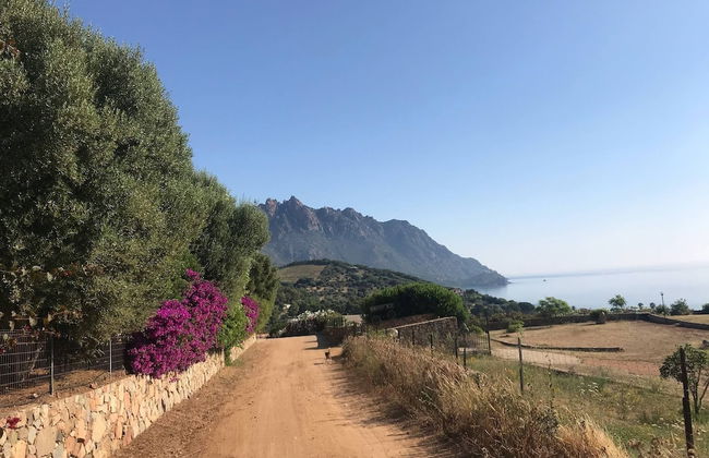 Casa Vacanze al Mare la Casa del Geco - Photo 40