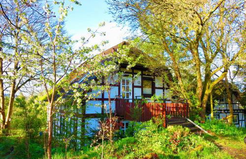 Natururlaub Frankenau - Foto 1