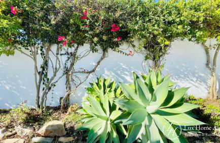 CasaÂncora - Sea View Rooftop - 1km Beach - Garden - Foto 35