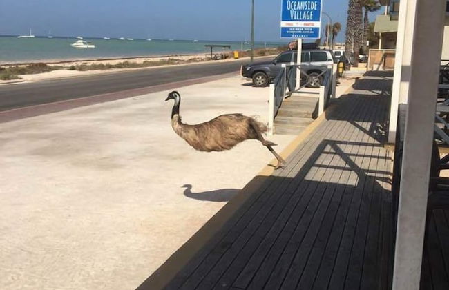 Oceanside Village - Photo 21