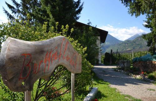 Burggräflerhof - Photo 15