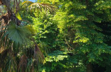 Garden Lodge by Veneto Villa - Foto 25