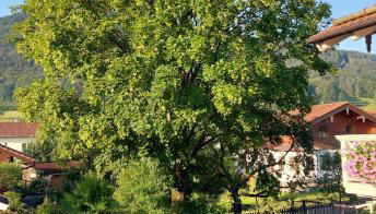 Ferien by Wallners - Foto 5