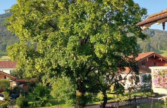 Ferien by Wallners - Foto 5