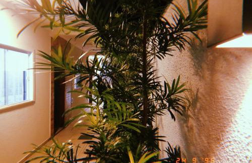 BORA BORA RESIDENCE - Photo 51