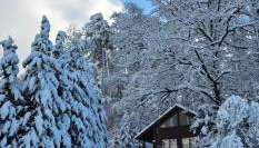 Romantisches Waldhaus mit Privatsauna, Grill und Feuerschtelle - Foto 1