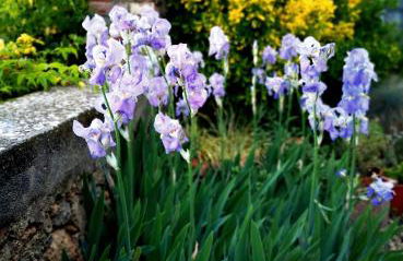 Guest House Manufacto - Foto 19