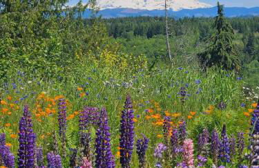 Stunning Mt Rainier Views!tahoma Ridge Cottage - Foto 35