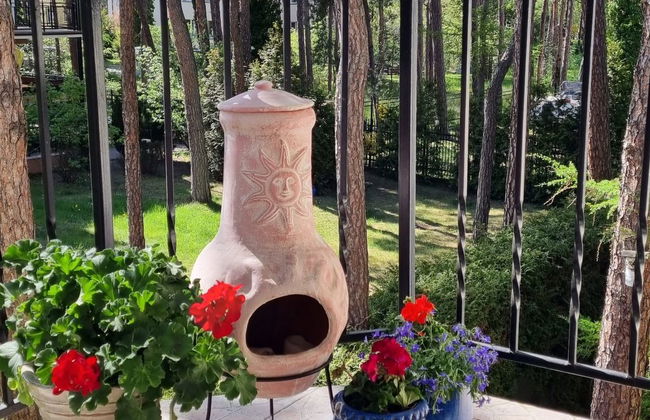 2 bedroom Apartment in Jastarnia - Photo 10