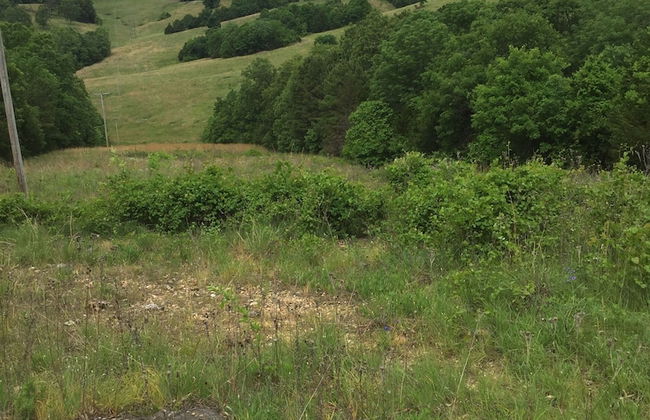 Cherokee mountain log cabin resort - Foto 62