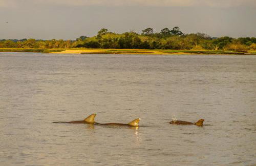 The Hummingbird Treehouse - Foto 28